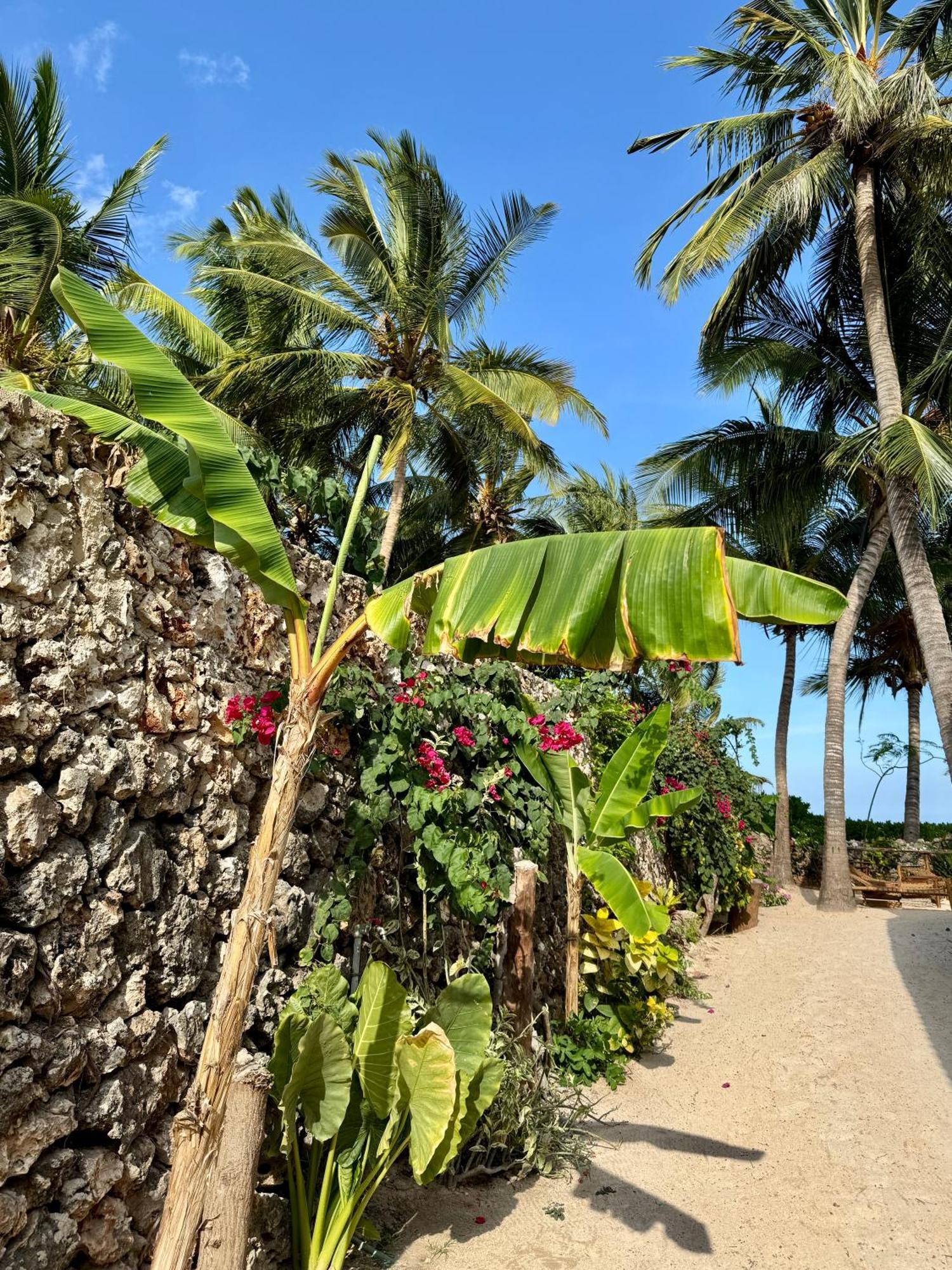 Villa Kipara - Private Beach & Pool Pwani Mchangani Luaran gambar